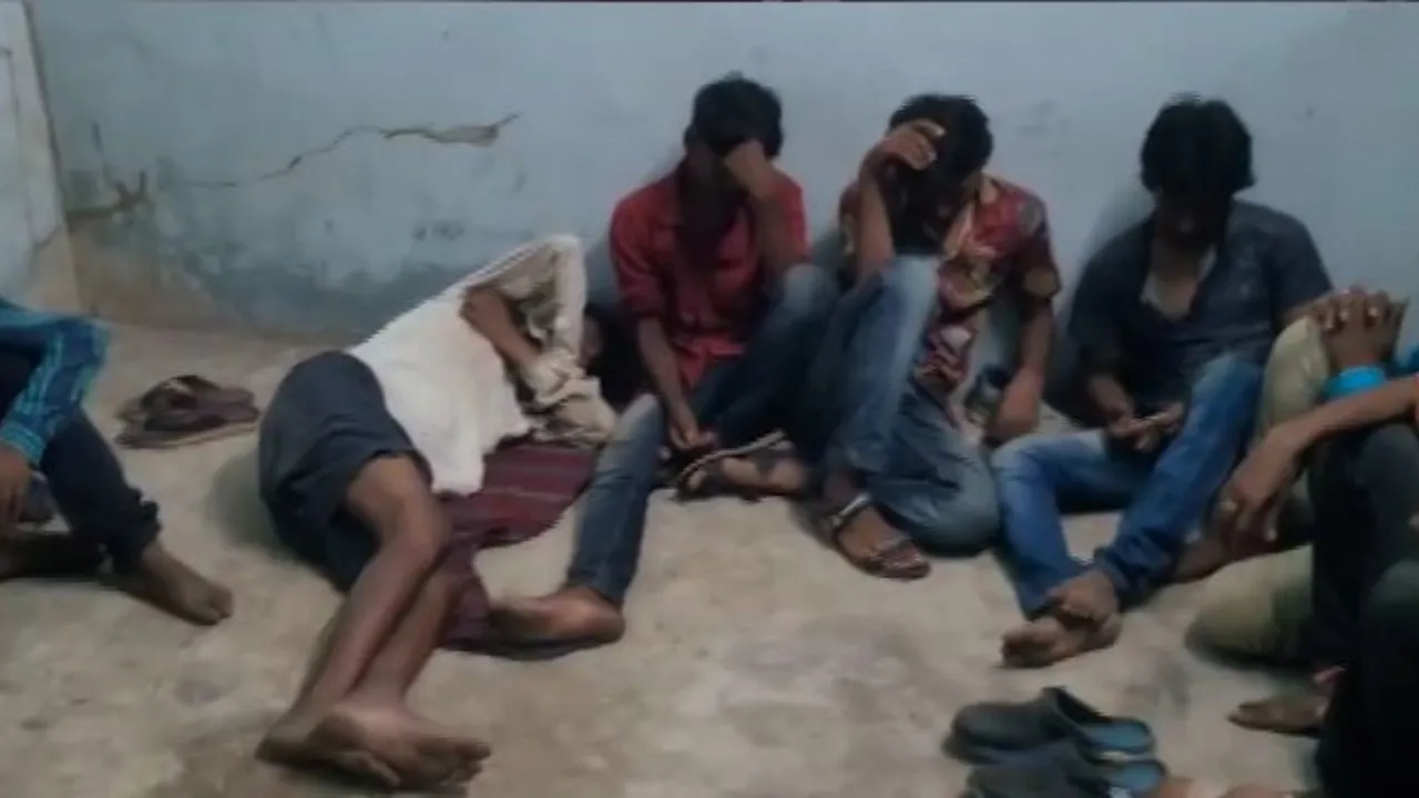 Bat-hunting racket busted in Athagarh
