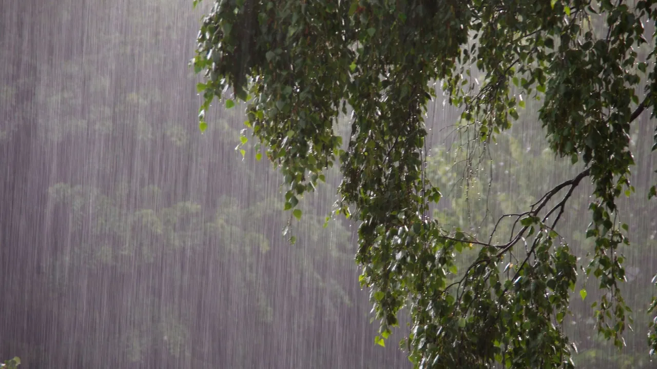 Low pressure forms over BoB: Widespread rain, gusty winds to grip Odisha; no cyclone threat for now: IMD