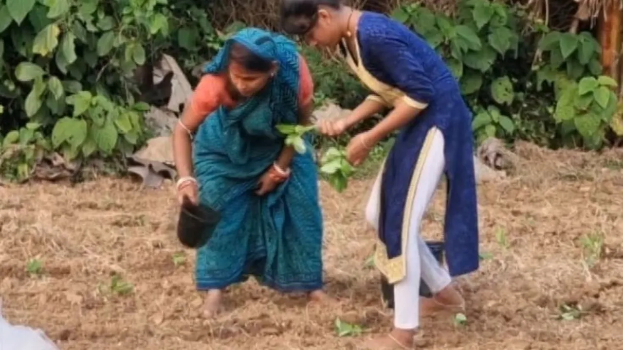 Cyclone Montha threat deepens woes of flood-hit farmers in Balasore
