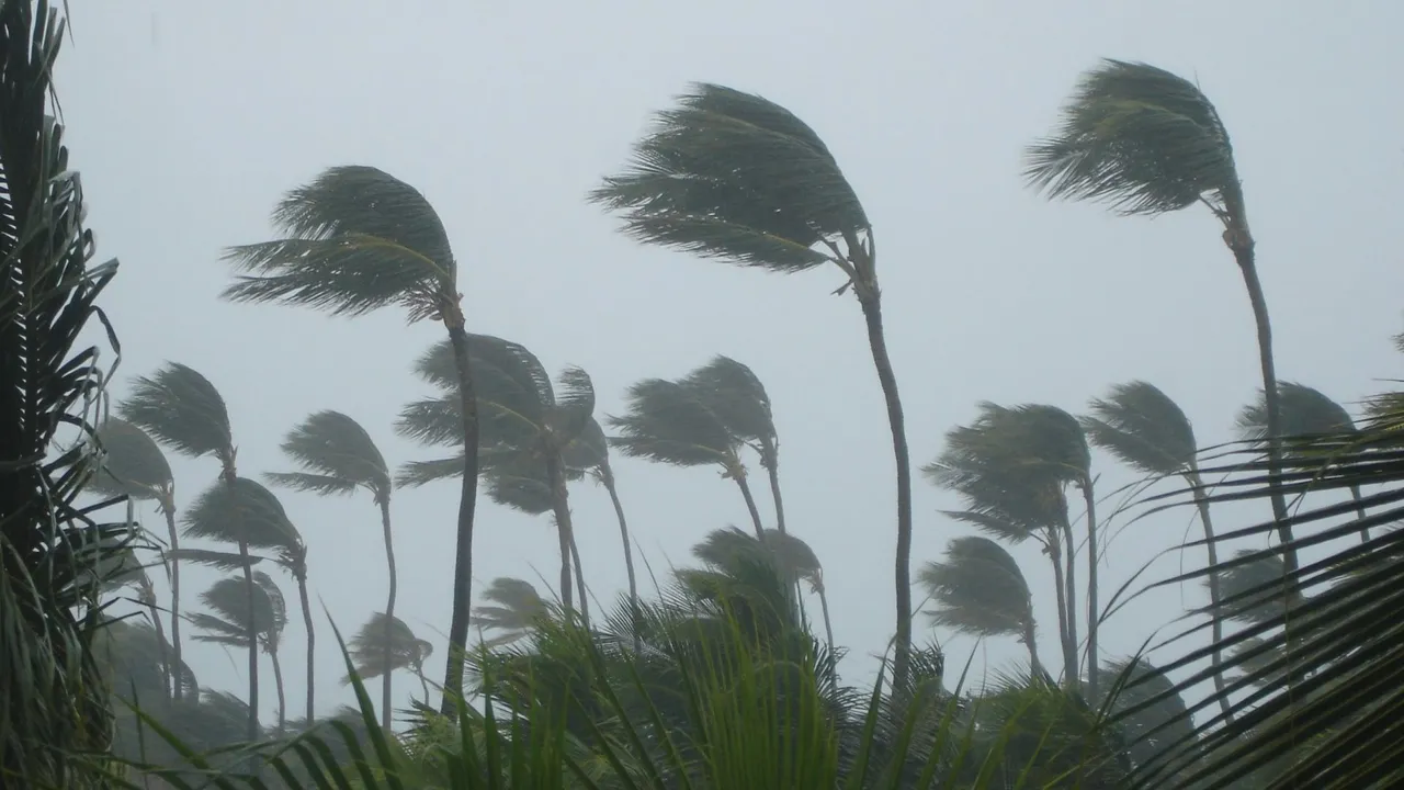 Cyclone ‘Montha’ gathers strength over Bay of Bengal, landfall on October 28; Odisha on alert