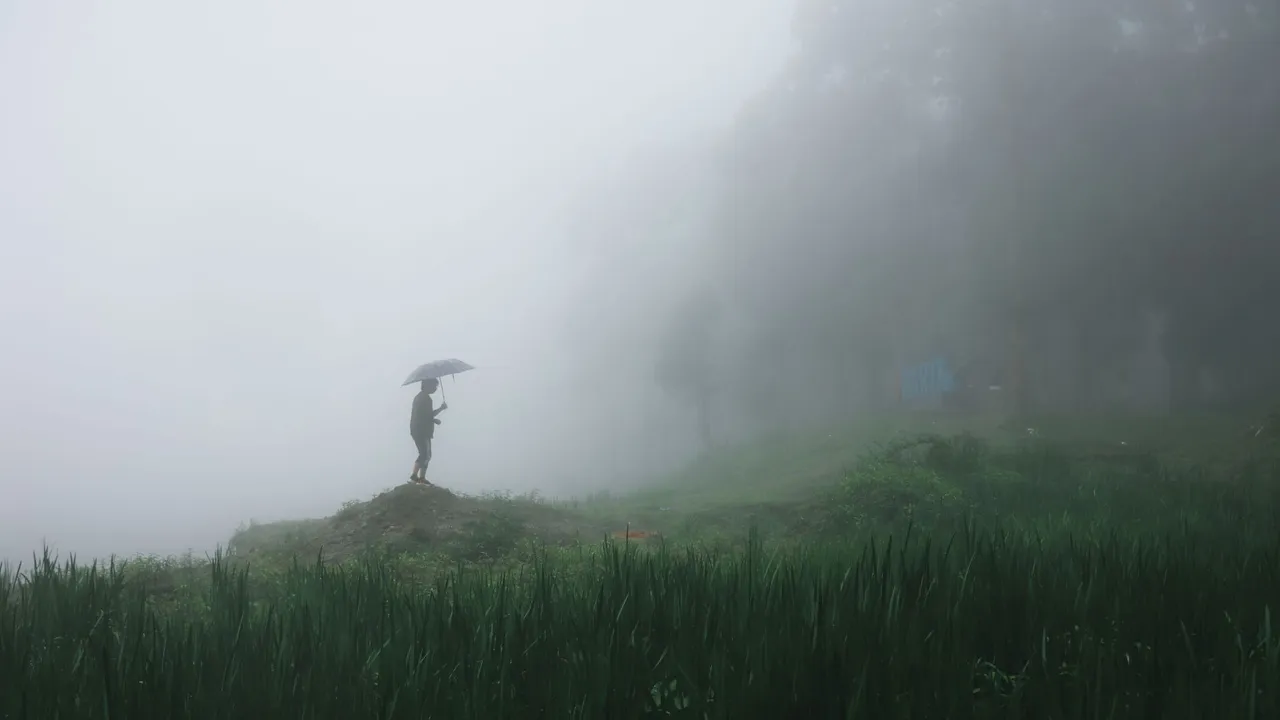 Cyclone Montha’s remnants to trigger heavy downpour in Odisha, IMD issues multiple rain alerts