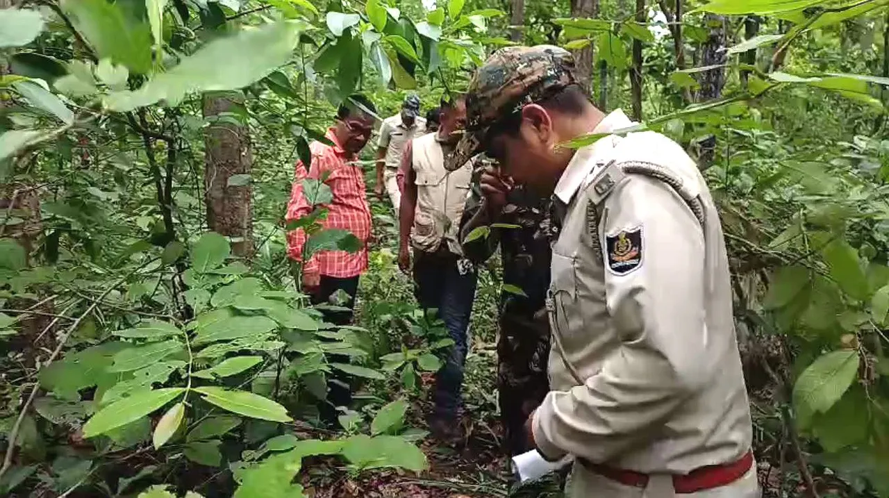 ‘Tiger’ pugmark spotted in Odisha’s Keonjhar protected forest