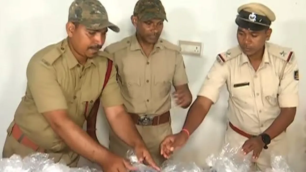 Cannabis oil worth crores seized in Odisha