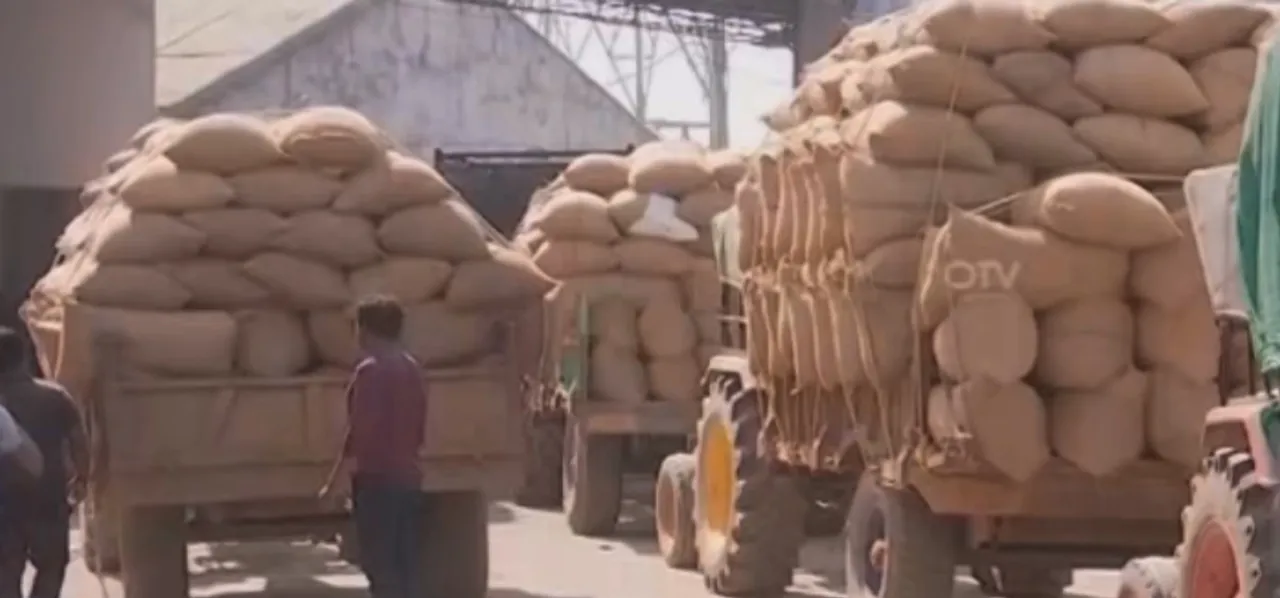 Odisha govt raises paddy MSP by Rs 69 per quintal for Kharif 2025