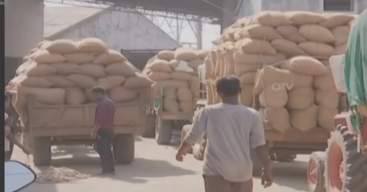 Odisha kharif paddy procurement to begin from Nov 20