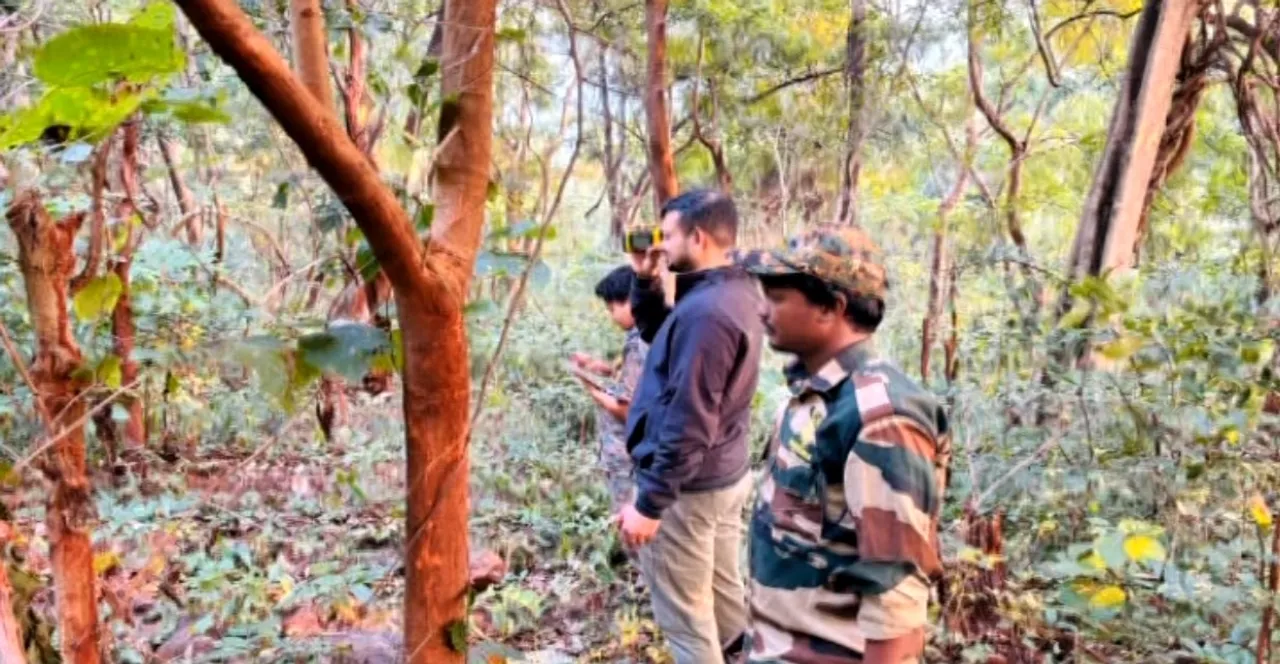 Tiger census begins in Odisha’s Similipal National Park, 103 forest staff mobilised