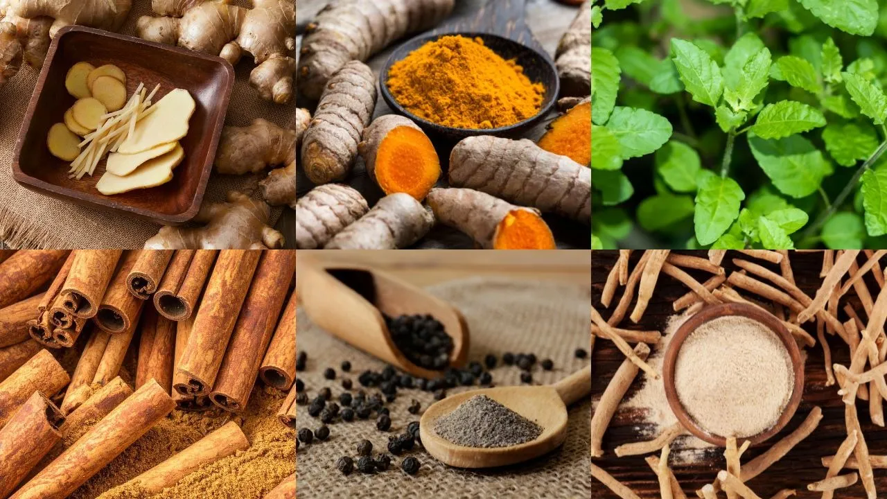 Herbs you need this winter