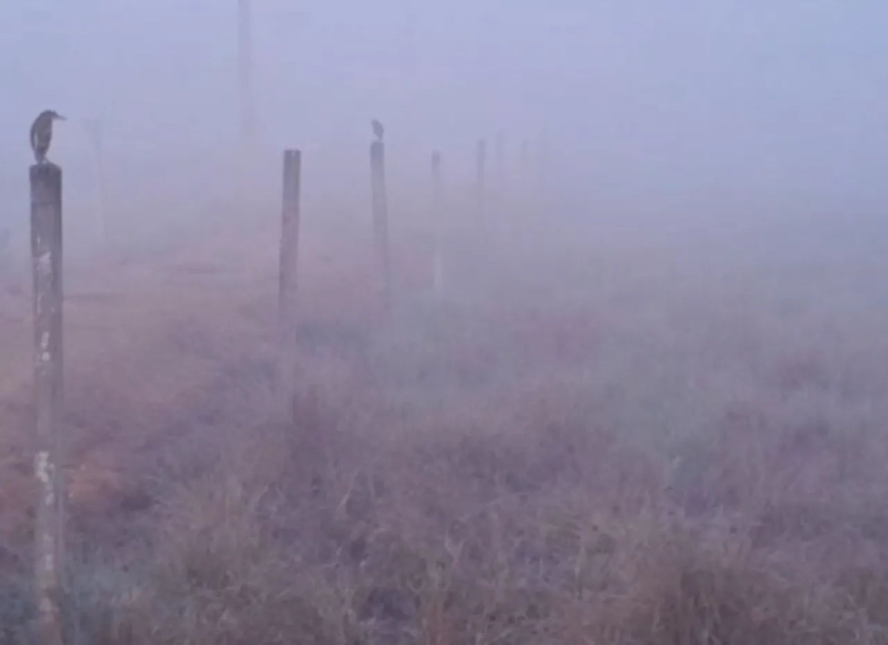 Odisha cold wave: IMD predicts rise in night temperature; Phulbani coldest at 8 degree Celsius