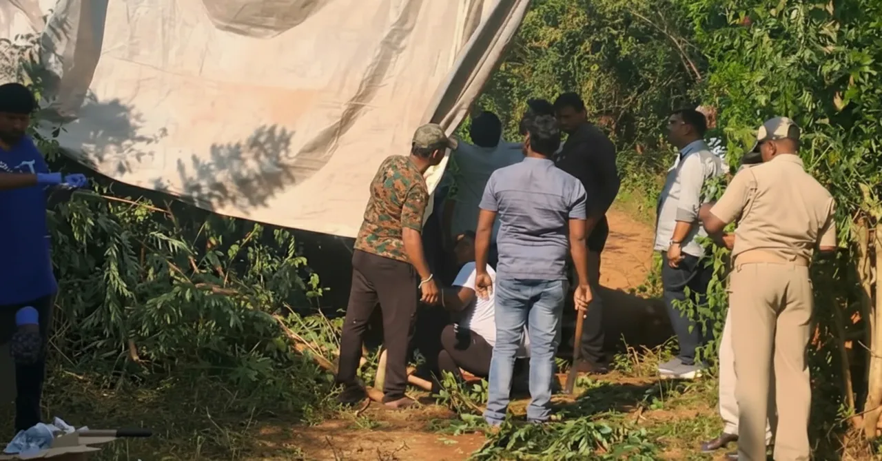 Female elephant in Chandaka dies amid treatment, Herpesvirus suspected