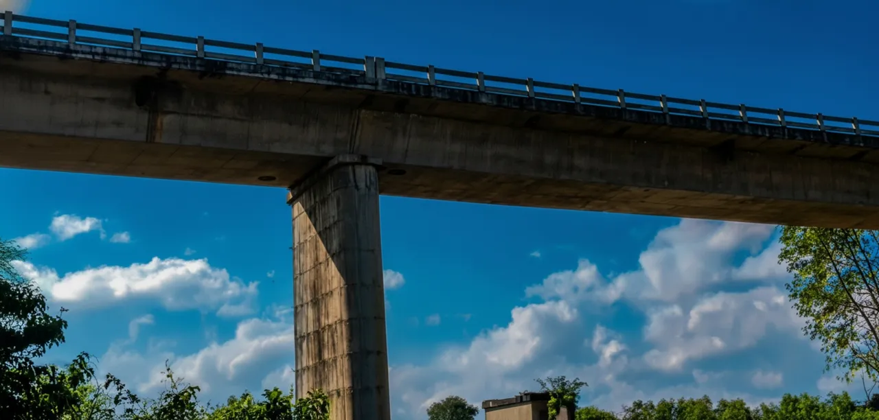 Bee attack at cremation ground in Rayagada leaves six people seriously injured