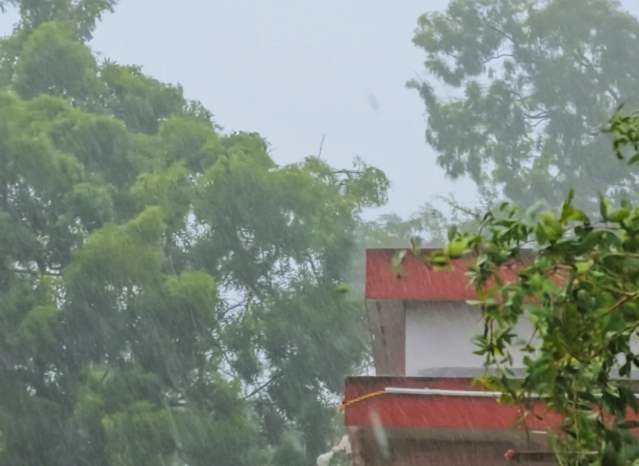 Ditwah nears coast, Odisha farmers fear crop loss