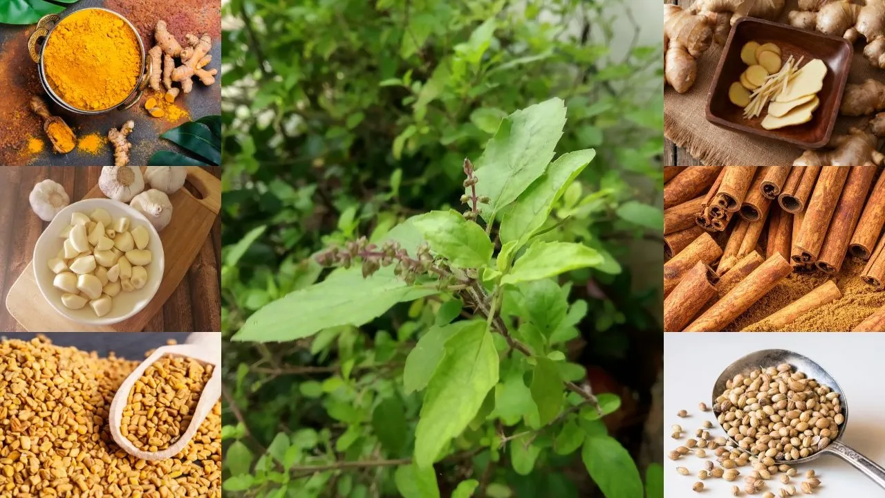 Indian kitchen remedies to lower uric acid