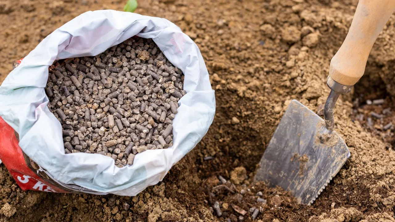 Fertiliser black marketing in Odisha: Over 7,000 retailers inspected, 77 licences cancelled