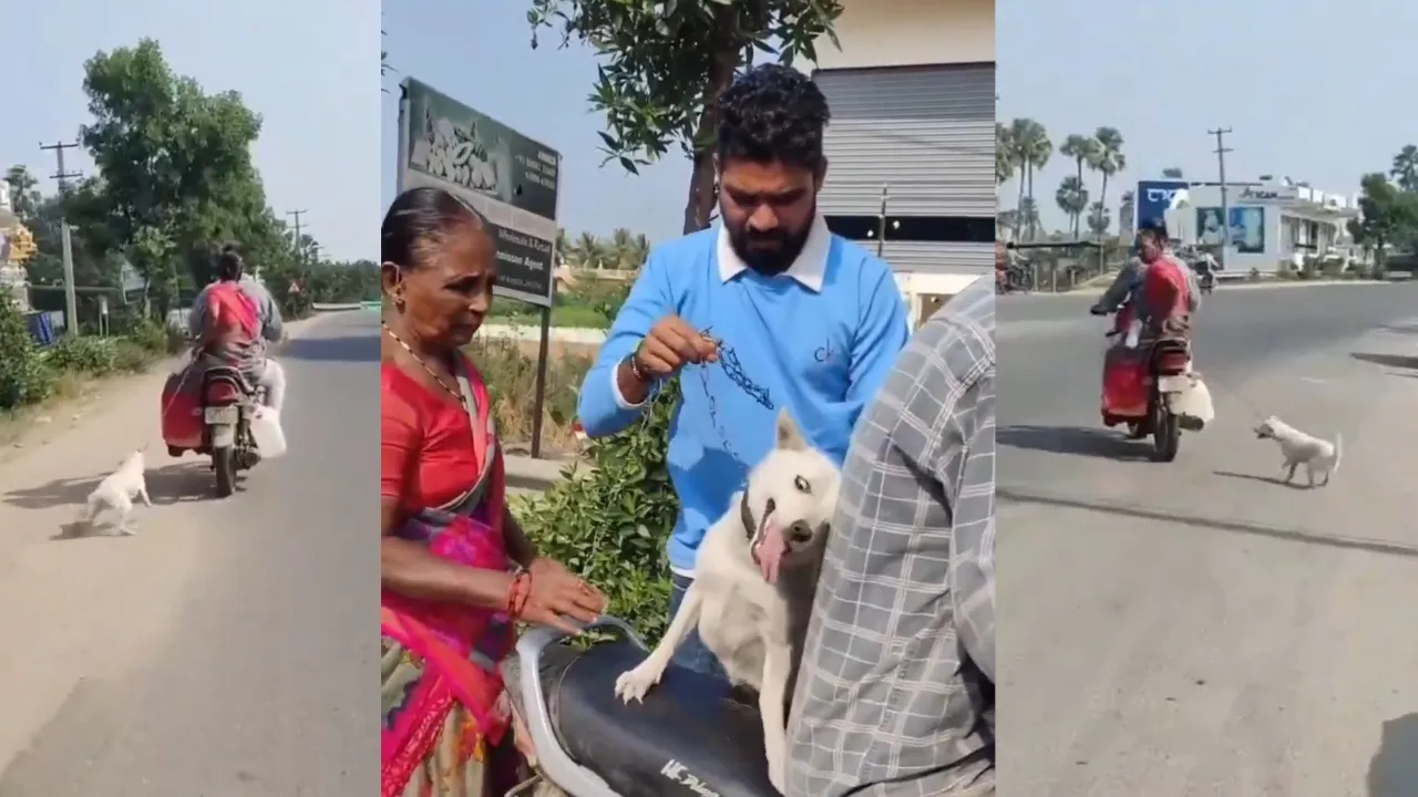 Animal cruelty caught on cam! Mother-Son caught dragging pet dog behind bike, internet furious; watch