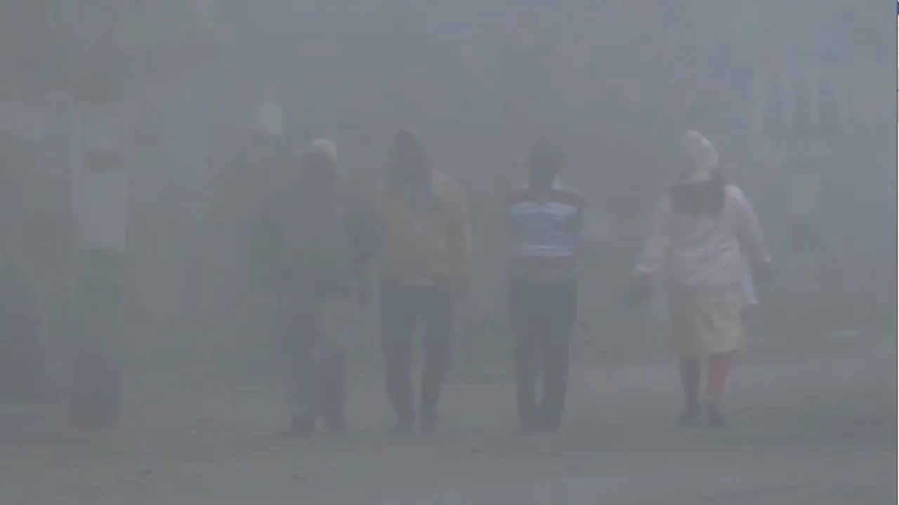 Odisha records season’s lowest temperature amid widespread fog
