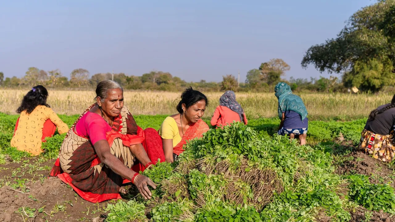 Odisha issues ‘Bhubaneswar Declaration’: India’s first-ever policy recognising women farmers’ role in agriculture