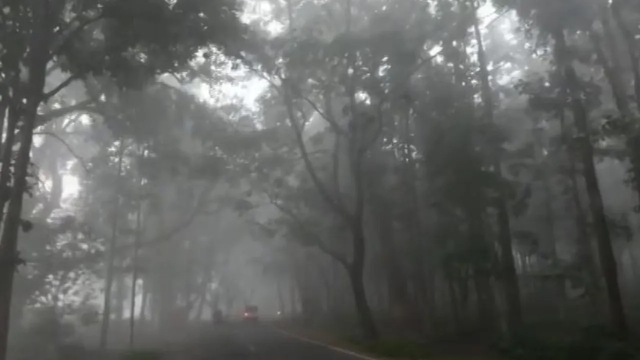 Cold wave tightens grip across Odisha as mercury drops to season’s lowest