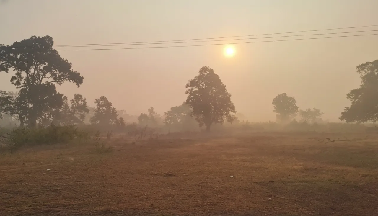 Koida shivers under intense cold spell