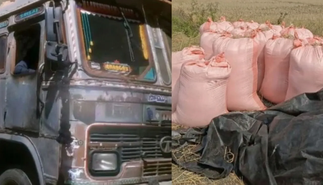 Paddy smuggling foiled