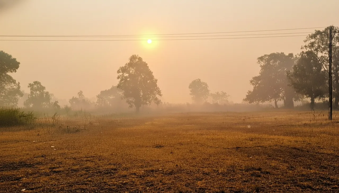 gemini_edited_3x_image (3)