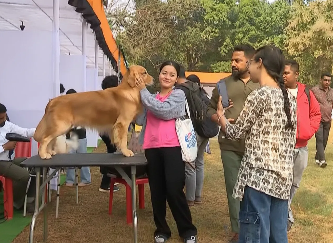 From Shih Tzu to Mudhol Hound, diverse breeds impress visitors at Bhubaneswar dog show