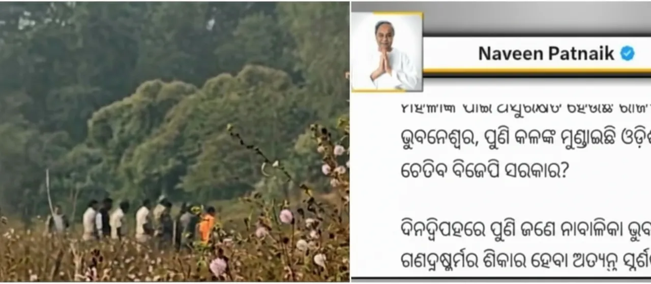 Rape Cases in Odisha