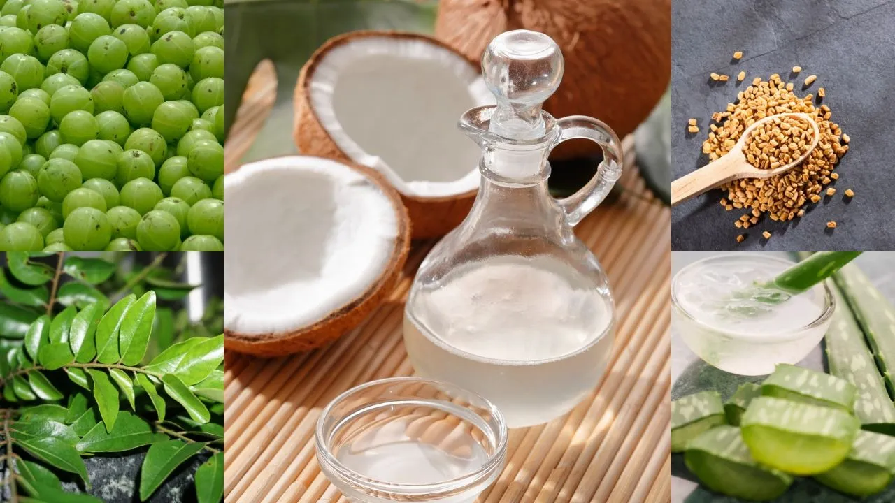 Ayurvedic ingredients that naturally boost hair growth