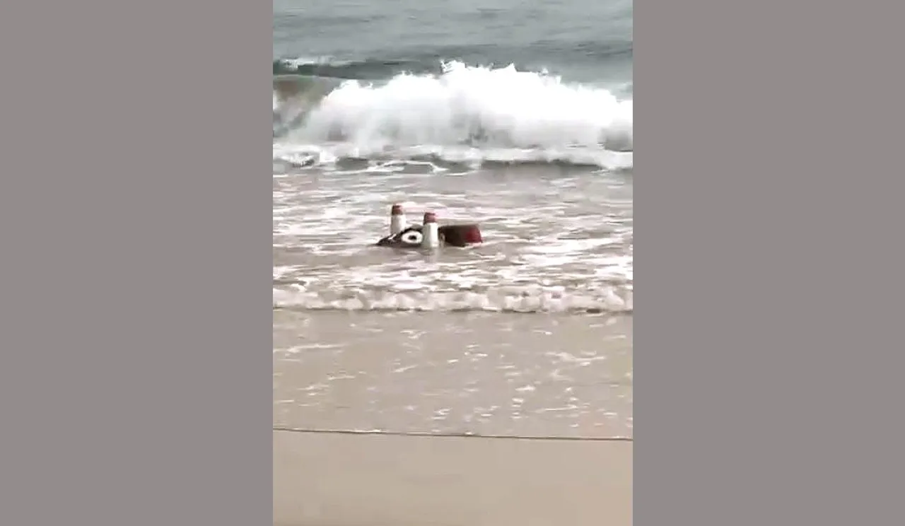 ‘Disrespectful immersion’ of Lord Jagannath idol in sea, video sparks outrage