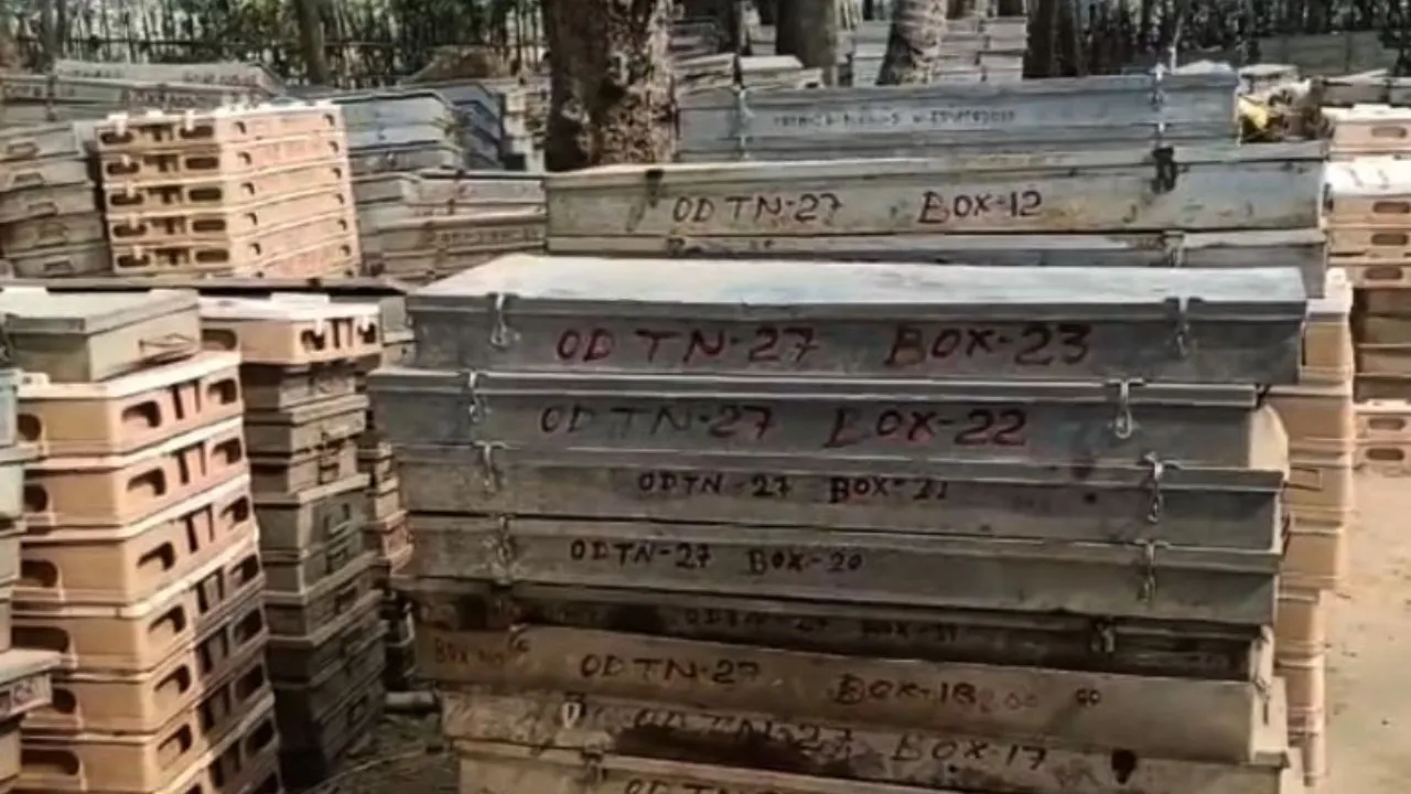 Graphite deposits identified in Odisha’s Daspalla, detailed exploration underway