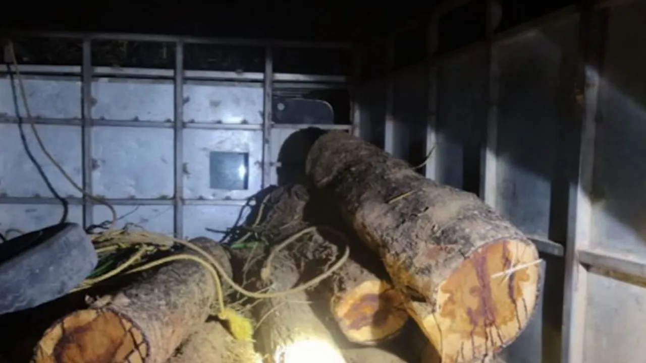 Timber mafia snatch seized vehicle from Forest Department in Balasore