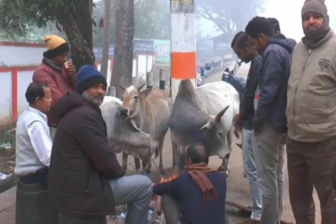 Severe cold and dense fog disrupt normal life in Kandhamal, temperature recoded below 5 deg C