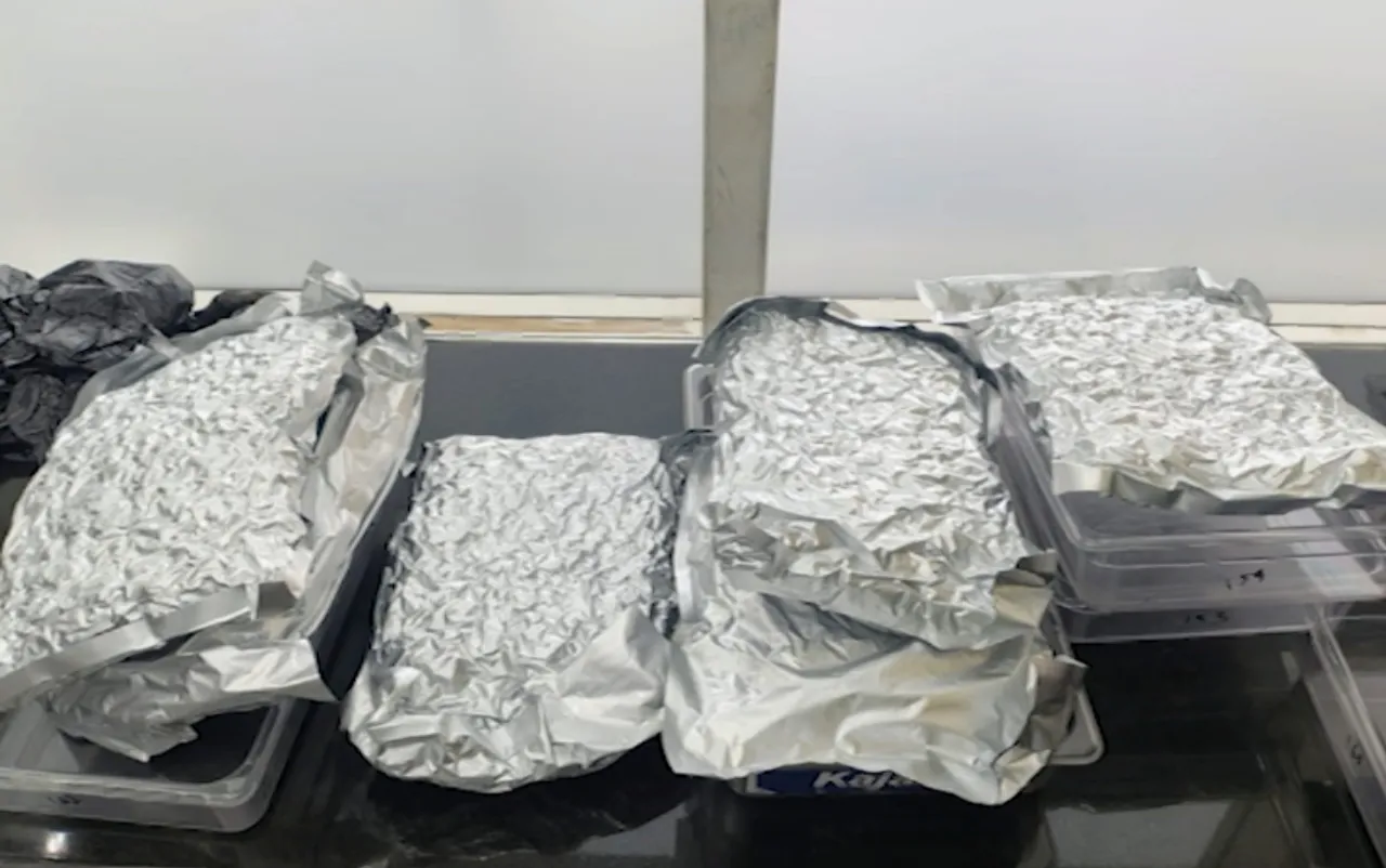 Marijuana worth Rs 8 cr seized at Bhubaneswar airport