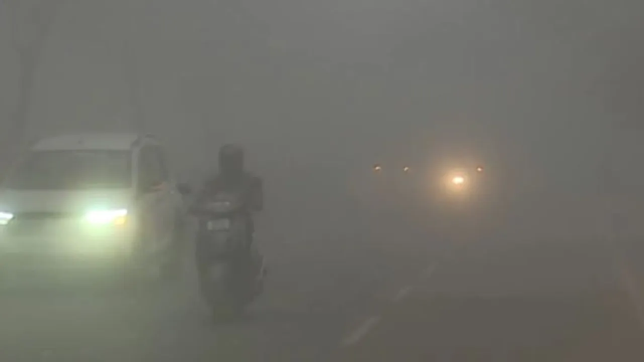 Cold wave and fog persists in Odisha