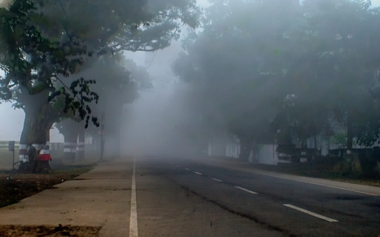 Bhadrak revises school timings amid severe cold wave conditions in Odisha