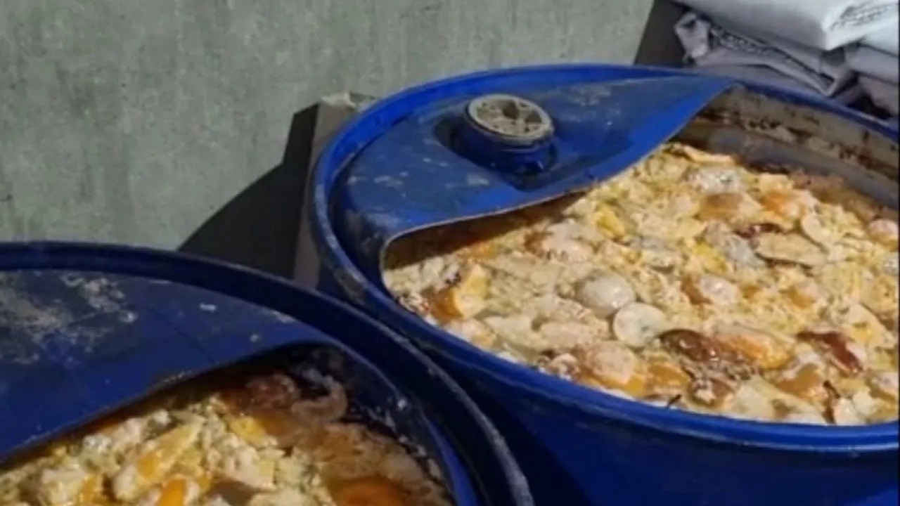 Illegal country liquor unit busted again at Salia Sahi in Bhubaneswar