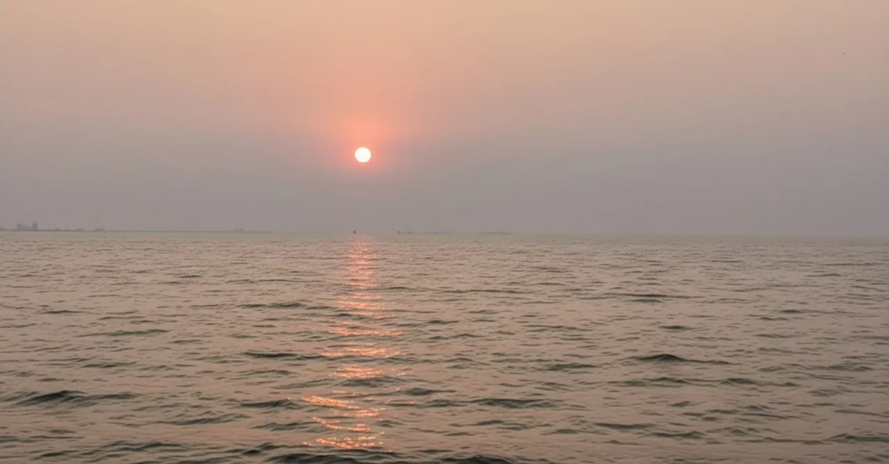 Three-day dolphin census to begin in Chilika from tomorrow