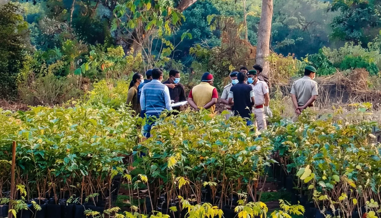 Odisha elephant death mystery: Mutilated carcass recovered from buried pit in Kalahandi; probe deepens