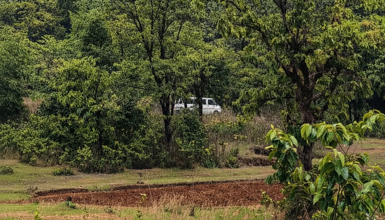 High alert along Odisha border after 15 Maoists, including top leader Anal Da, killed in Jharkhand encounter