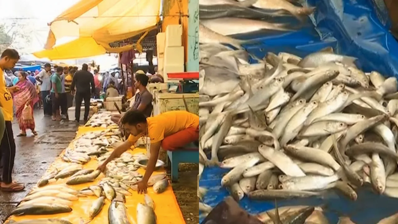 Koraput administration lifts ban on non-vegetarian food sales on Republic Day