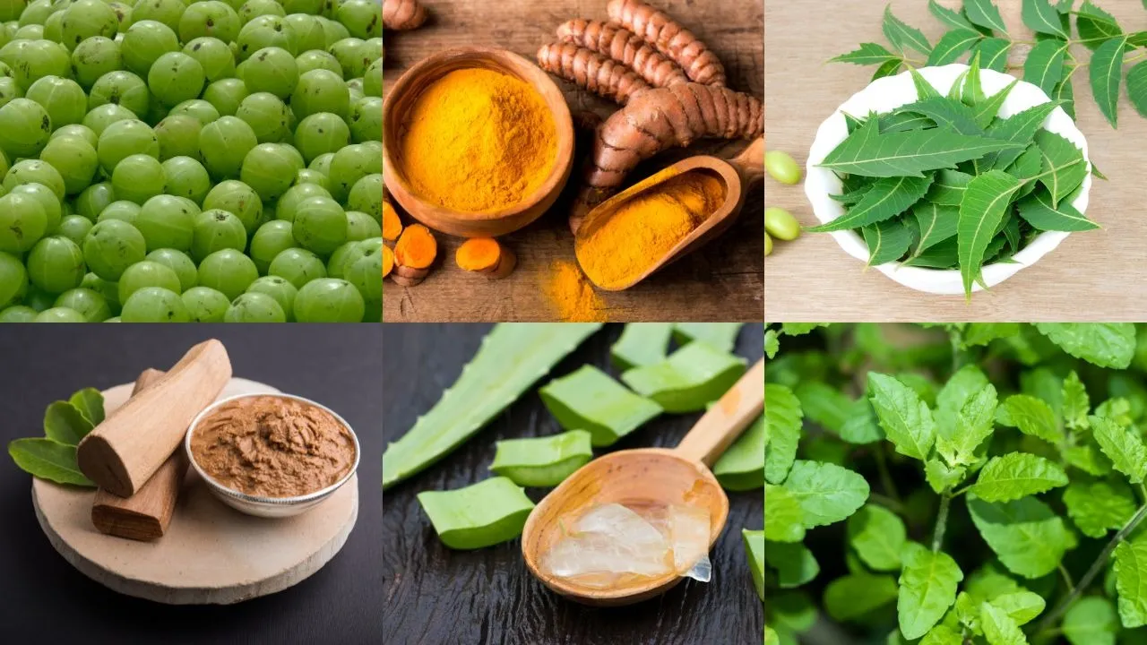 Ayurvedic herbs that help heal acne naturally