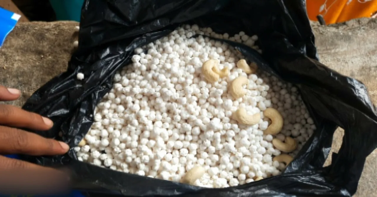 Konark Sun Temple tourists cheated, peanuts sold as cashews