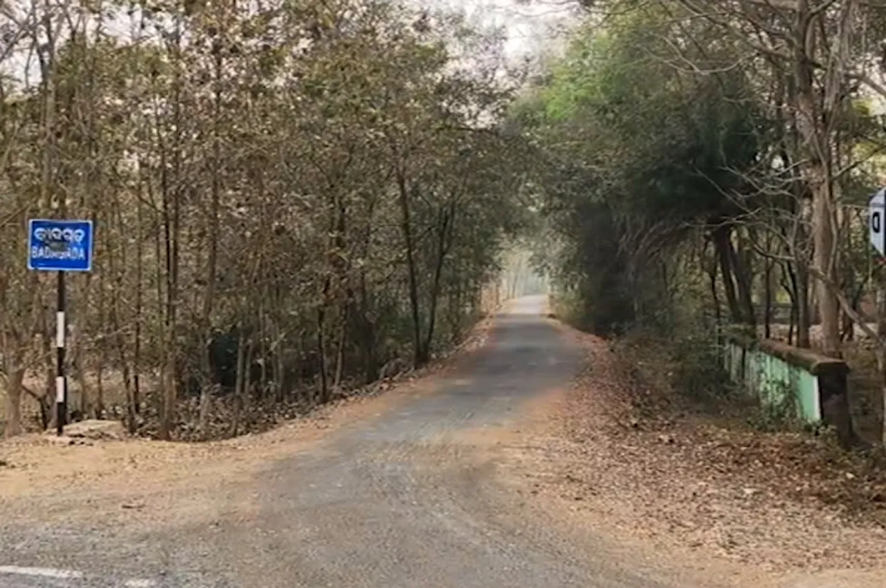 Half-charred body of youth found in Ganjam