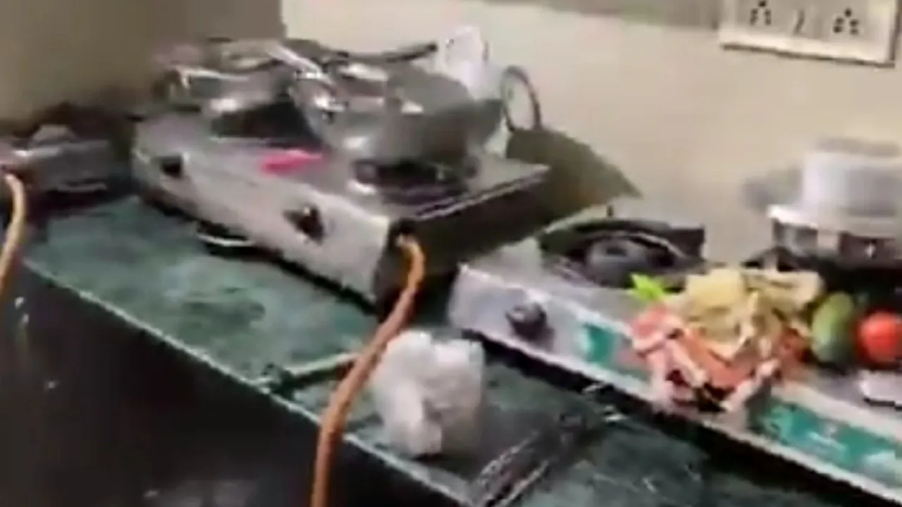 Three female roommates, three stoves, three cylinders, one flat: Kitchen rules spark internet’s funniest debate, watch