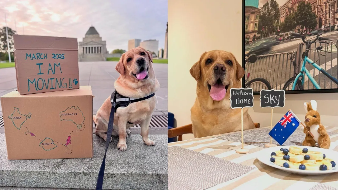 Indian couple spends ₹15 lakh saved for dream home to bring their beloved dog to Australia!