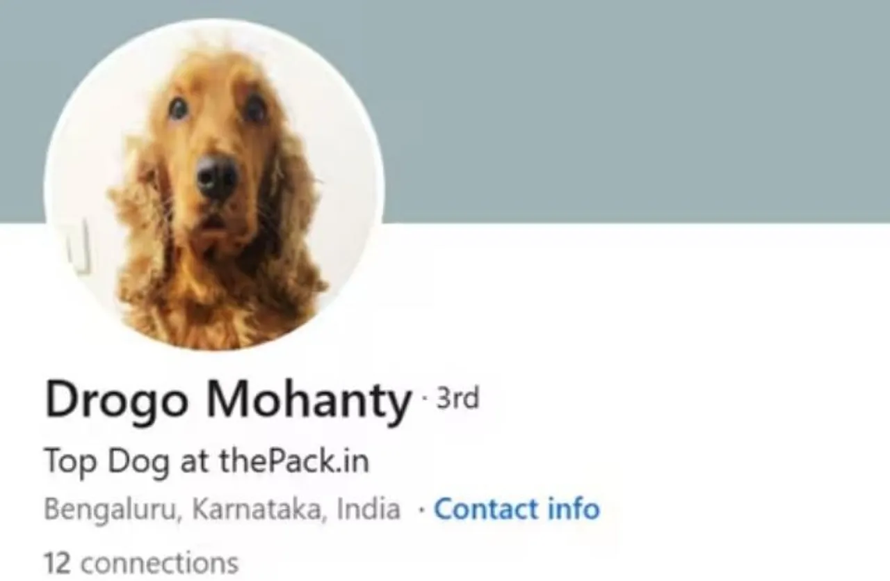 LinkedIn profile