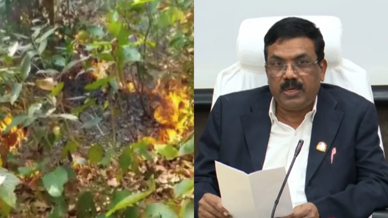 Forest department steps up preparedness to prevent forest fires ahead of Summer season