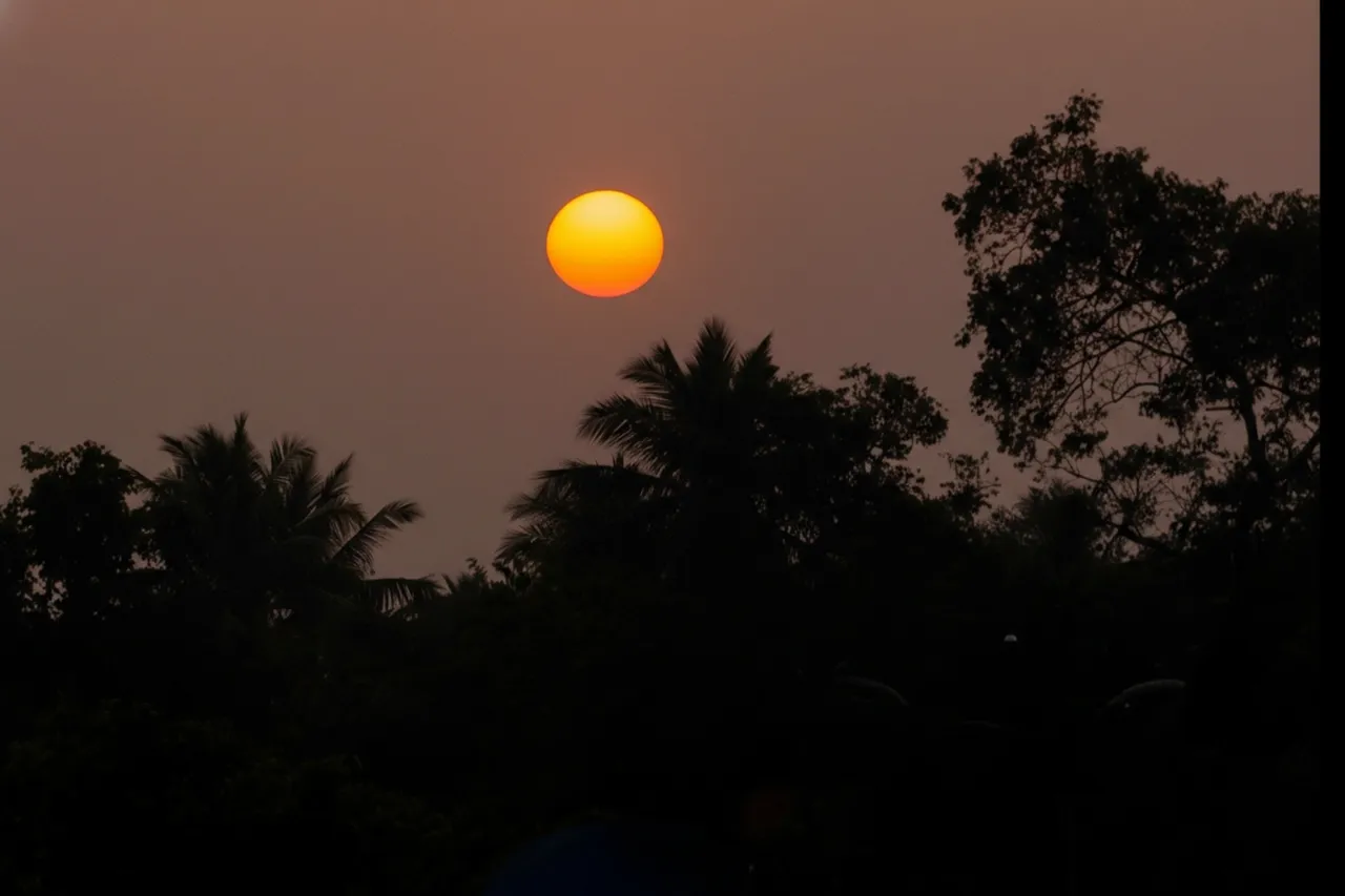 Odisha to witness gradual rise in night temperatures after two days