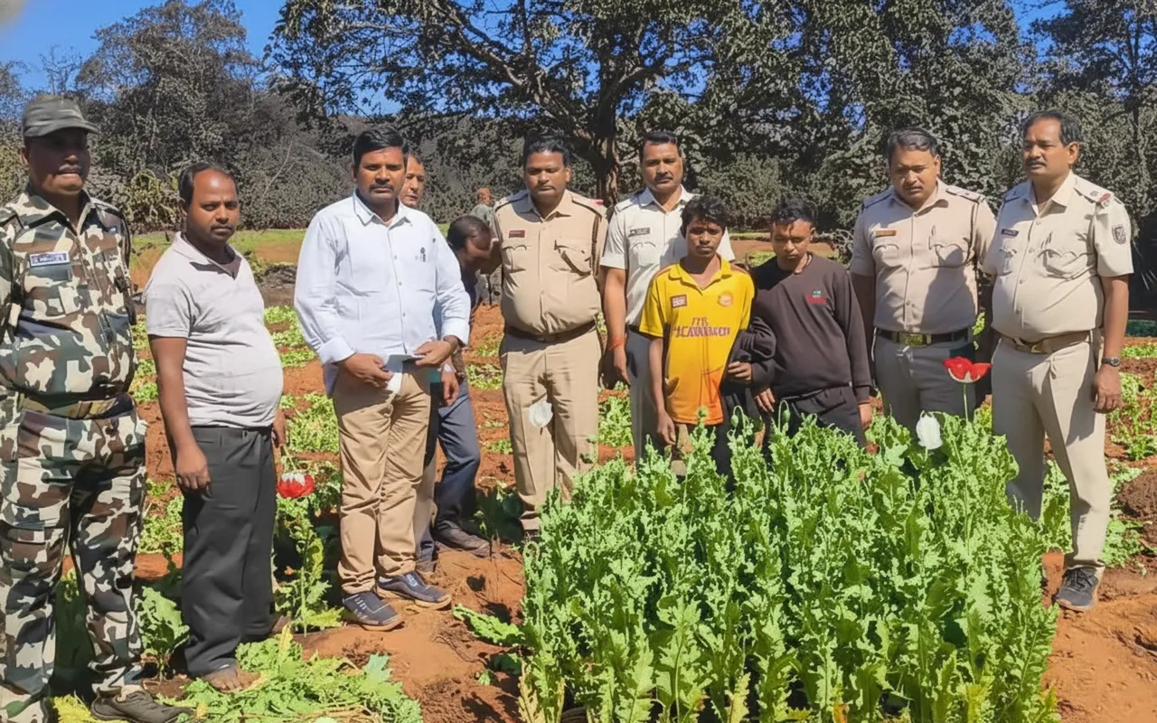 Illegal opium cultivation case: Accused escapes after Police firing in Sundargarh’s Koida