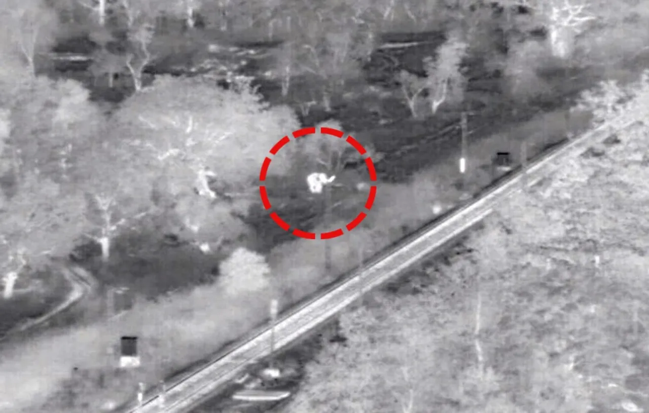 AI cameras help save elephants from train accidents in Odisha’s Rourkela