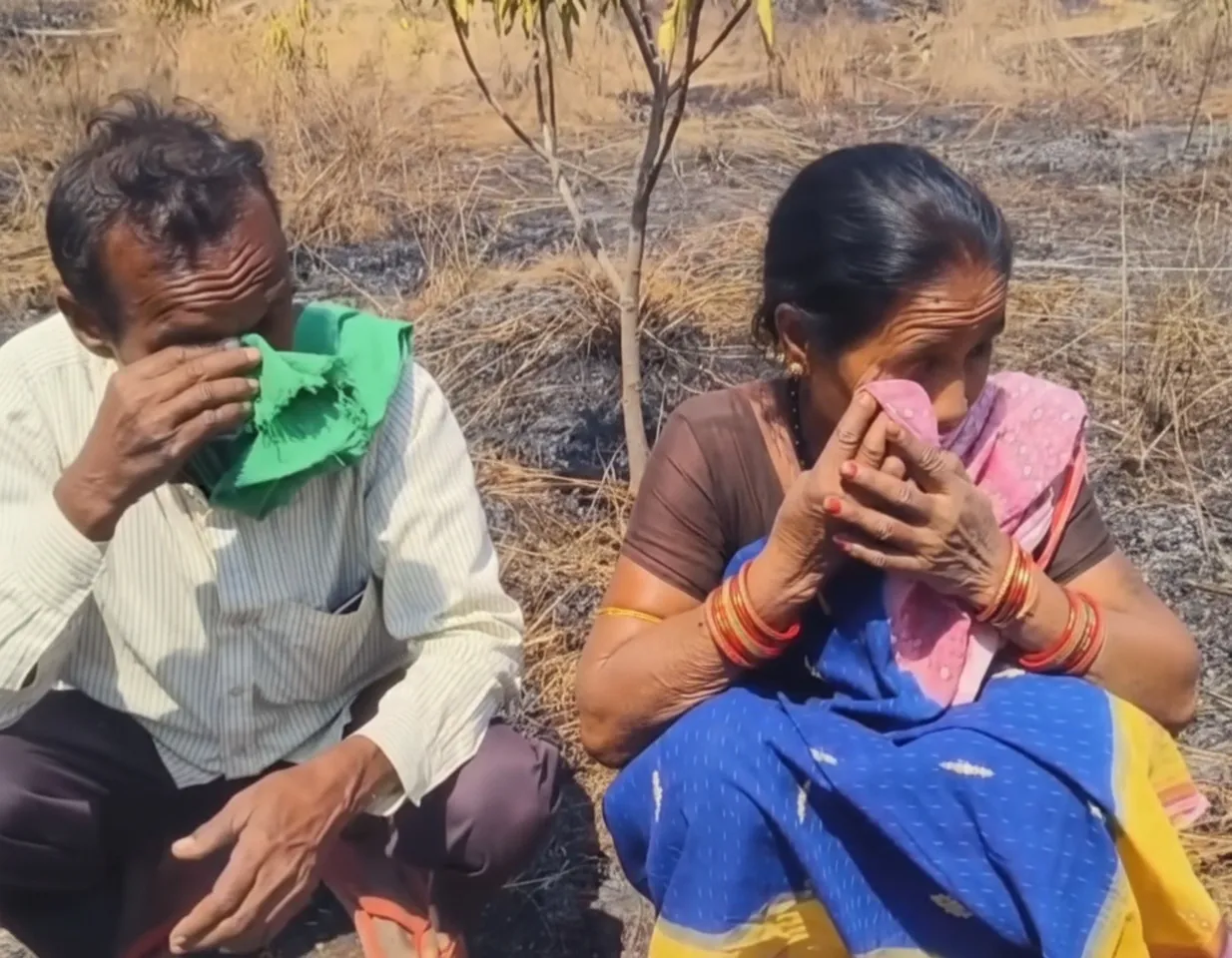 Odisha farmer in distress after 200 mango trees set on fire